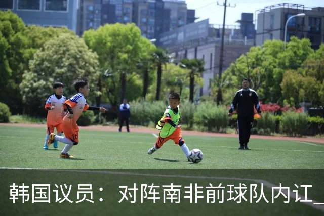 韩国议员：对阵南非前球队内讧 孙兴慜拒采访被排除出首发
